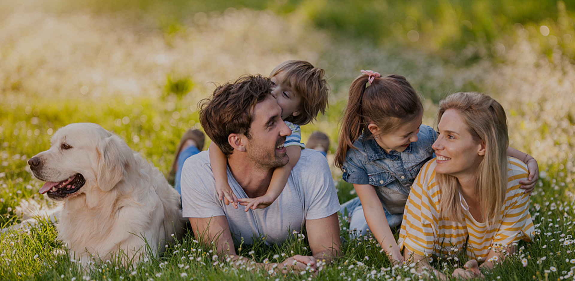 Kontaktieren Sie uns