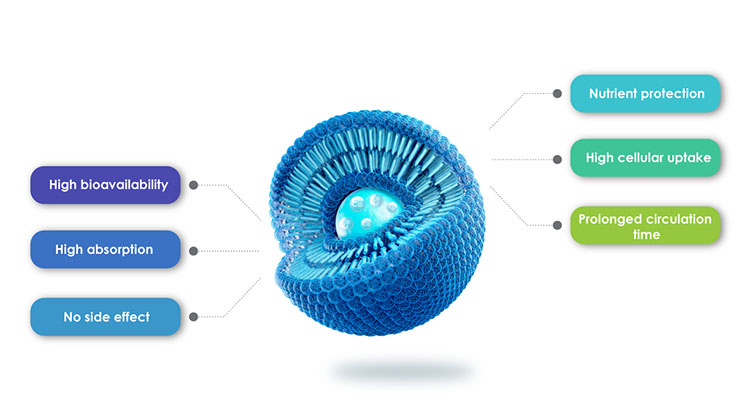 Vorteile von liposomalen Produkten