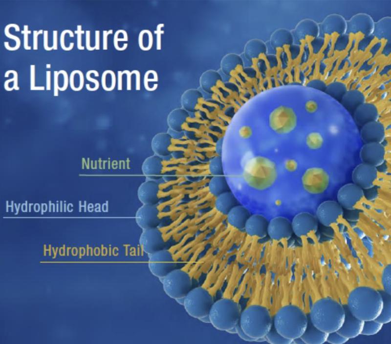 Verbesserte Stabilität