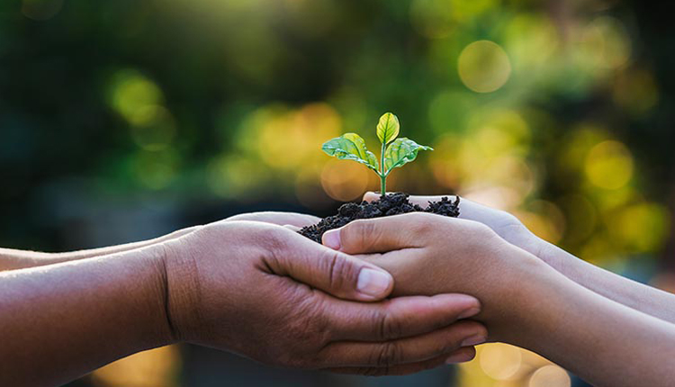 Über Joyful Ernährungs soziale Verantwortung