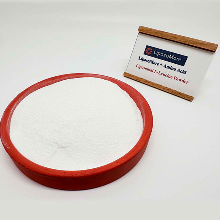 Liposomale L-Leucin