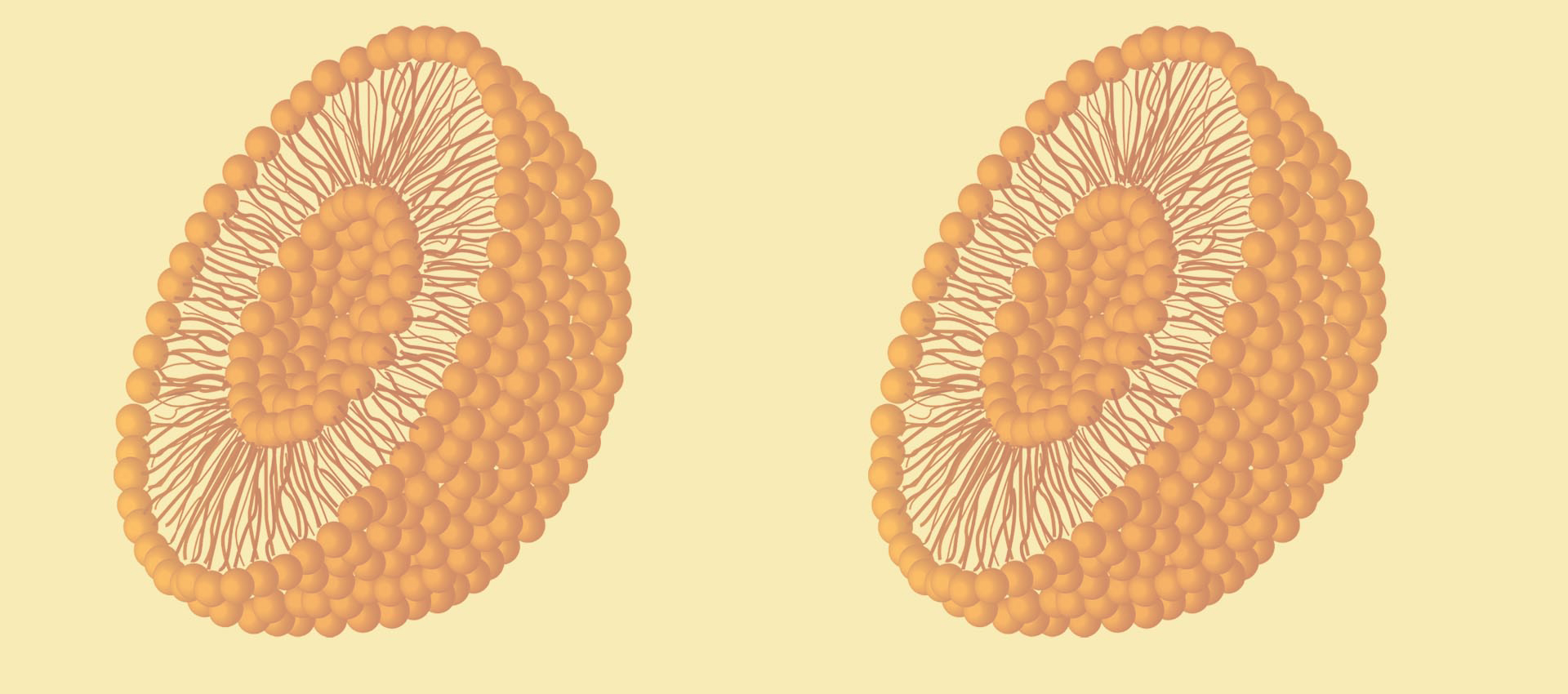 Liposomale Vitamin B2