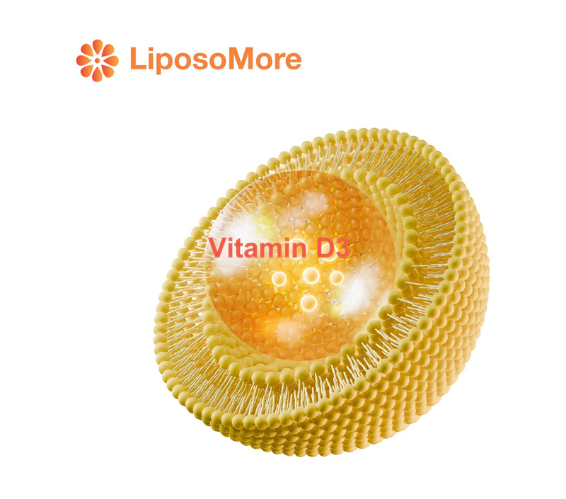 Vitamin D3 in Liposomen