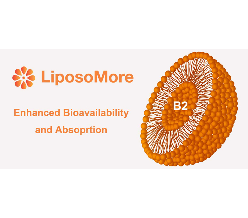 Verbesserte Bio verfügbar keit und Absorption