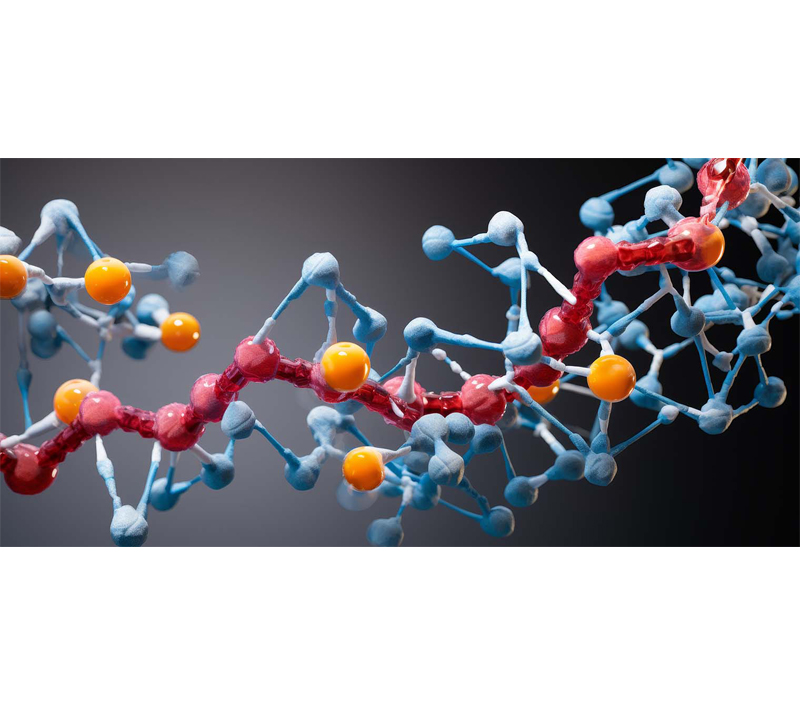 Verbessert den Zellular metabolismus