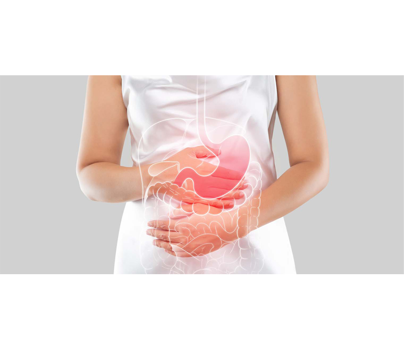 Sanft auf das Verdauungs system