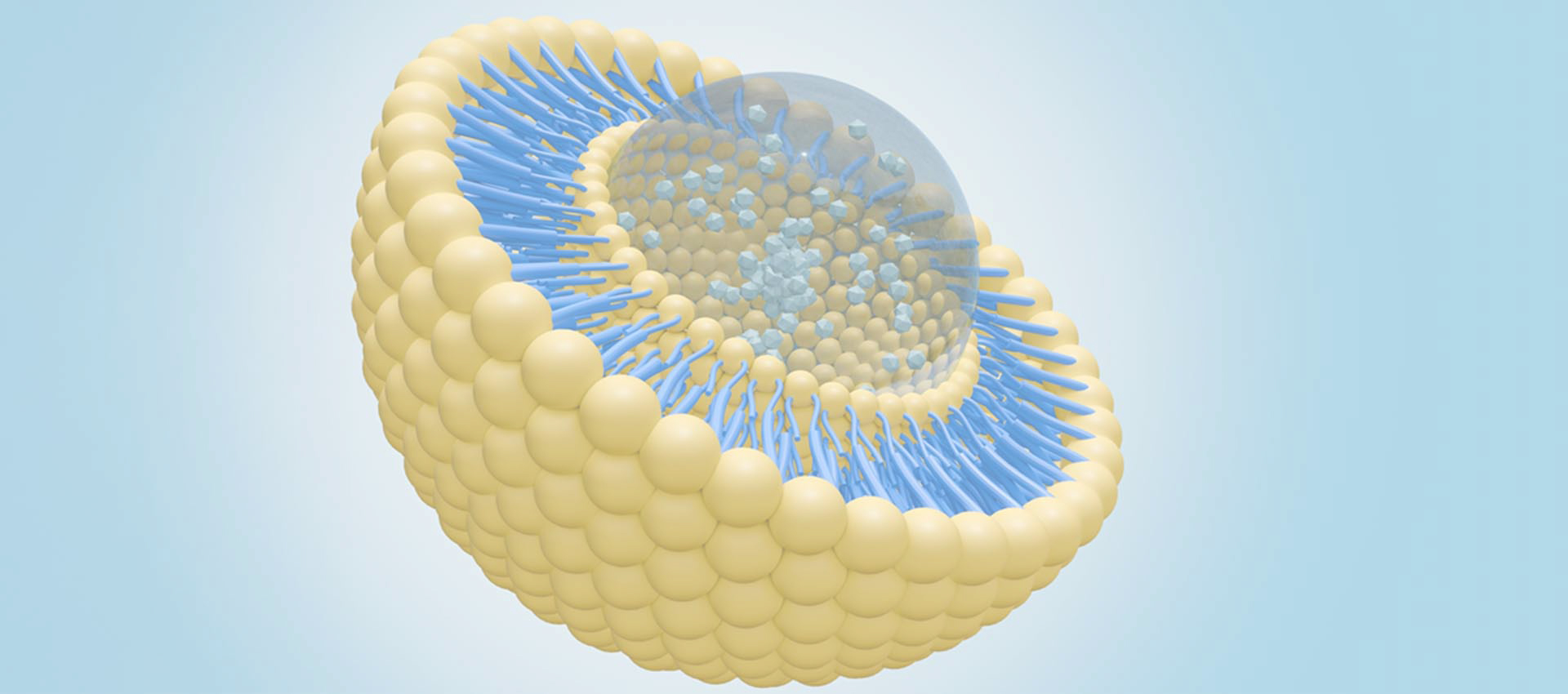 Liposomale Alpha-Lipon säure