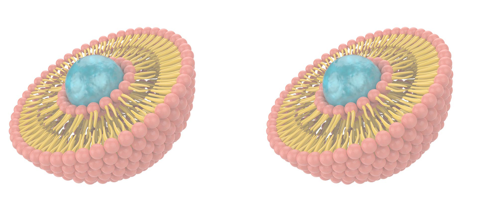 Liposomale Vitamin B-Komplex