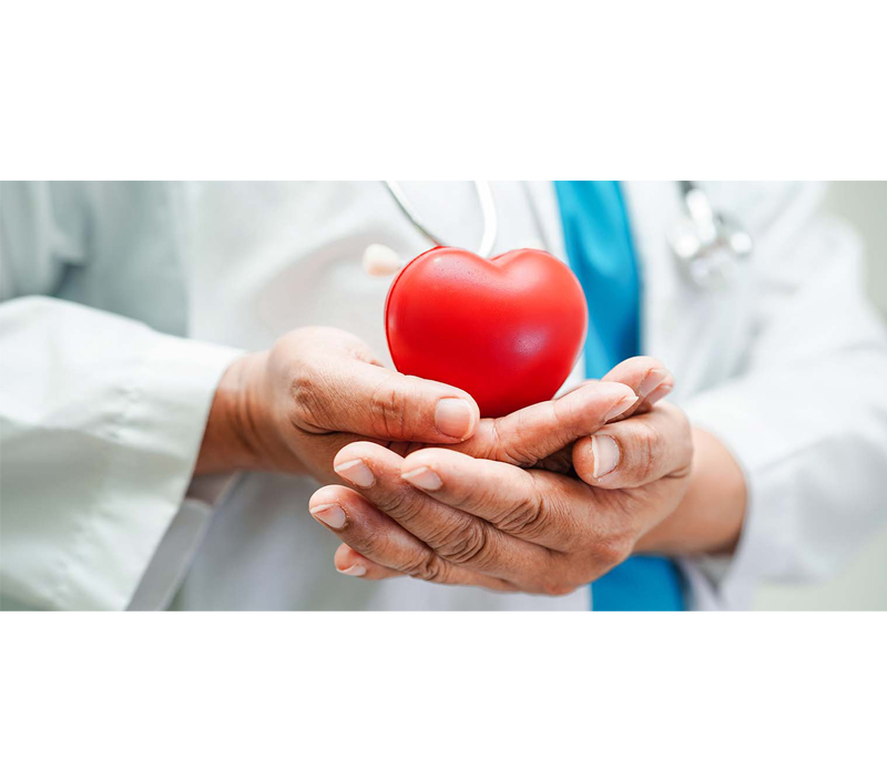 Unterstützt Herz-Kreislauf-Gesundheit