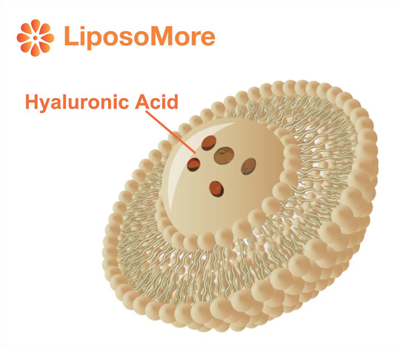 Verbesserte Absorption und Bio verfügbar keit