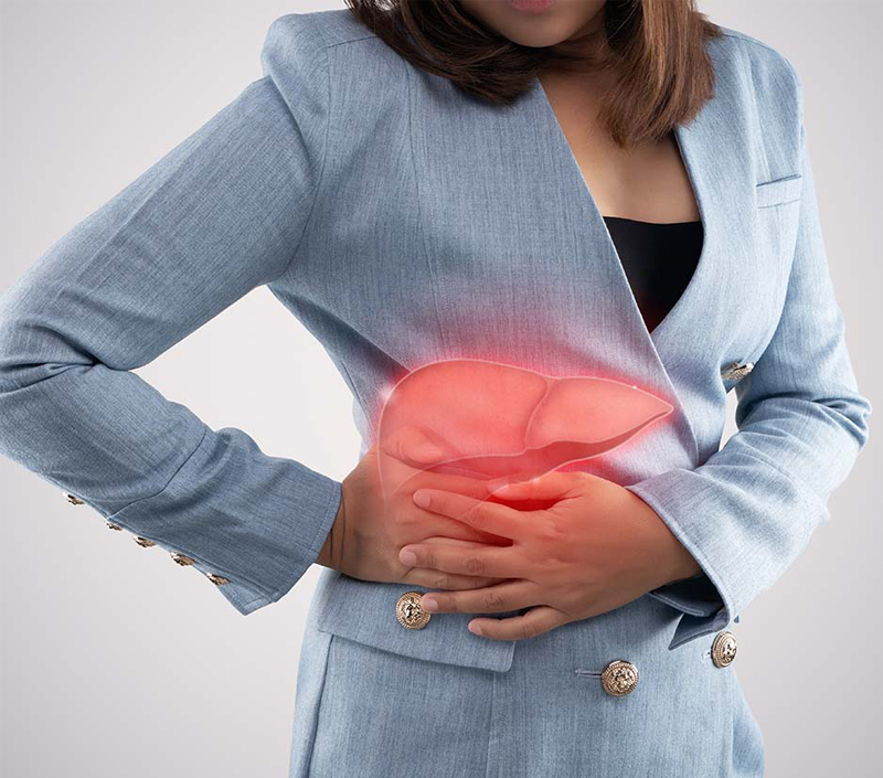 Leber gesundheit und Detox-Unterstützung