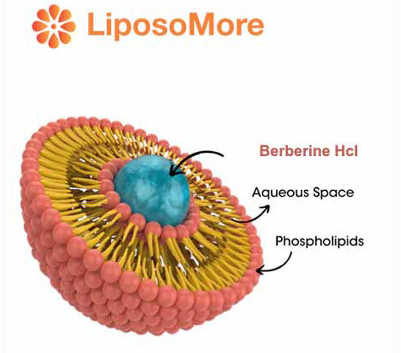 Unterstützt Cholesterin und Herz-Kreislauf-Gesundheit