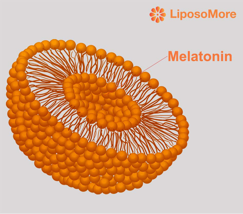 Fort geschrittenes Nährstoff abgabe system