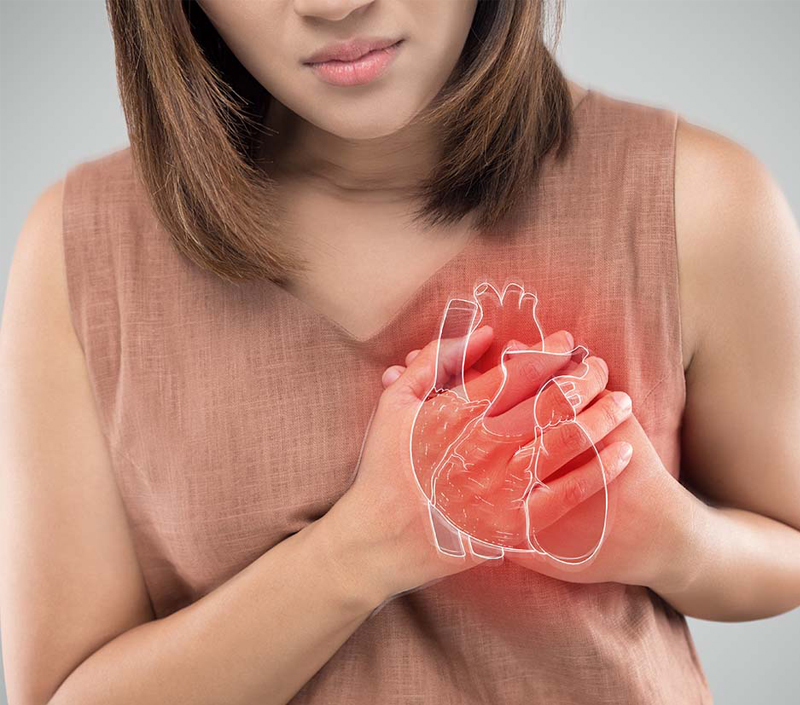 Herz-Kreislauf-und Gefäß schutz