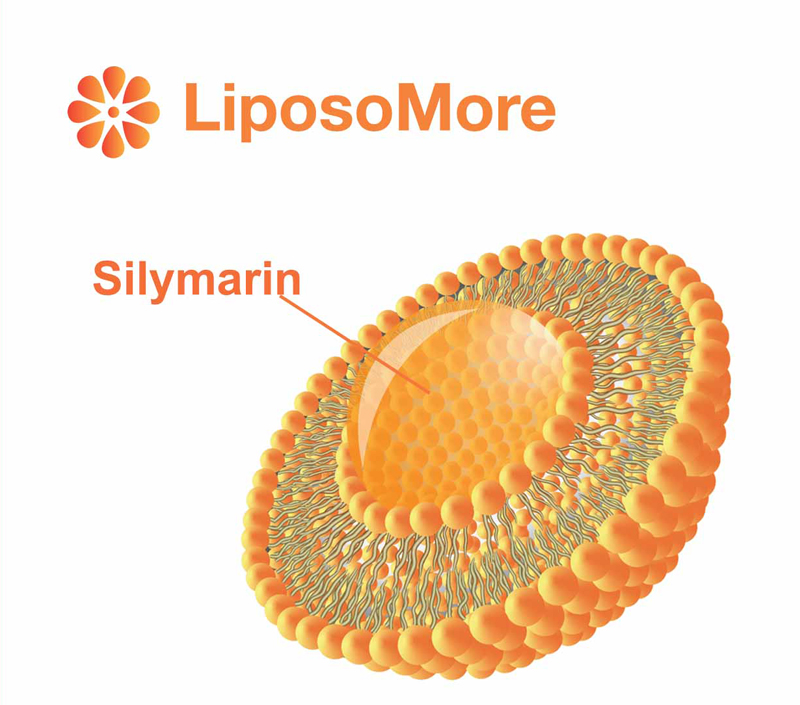 Verbesserte Bio verfügbar keit und zelluläre Absorption