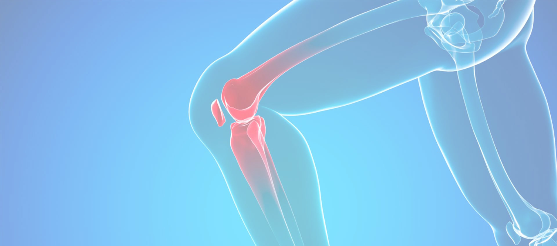 Liposomale Kollagen Typ II