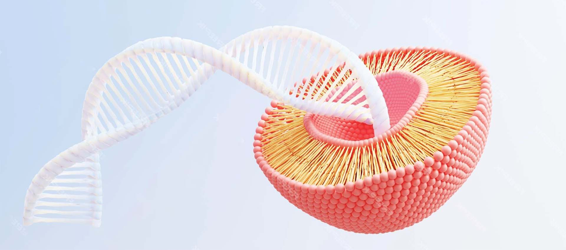 Liposomales Eisen-Pyro phosphat