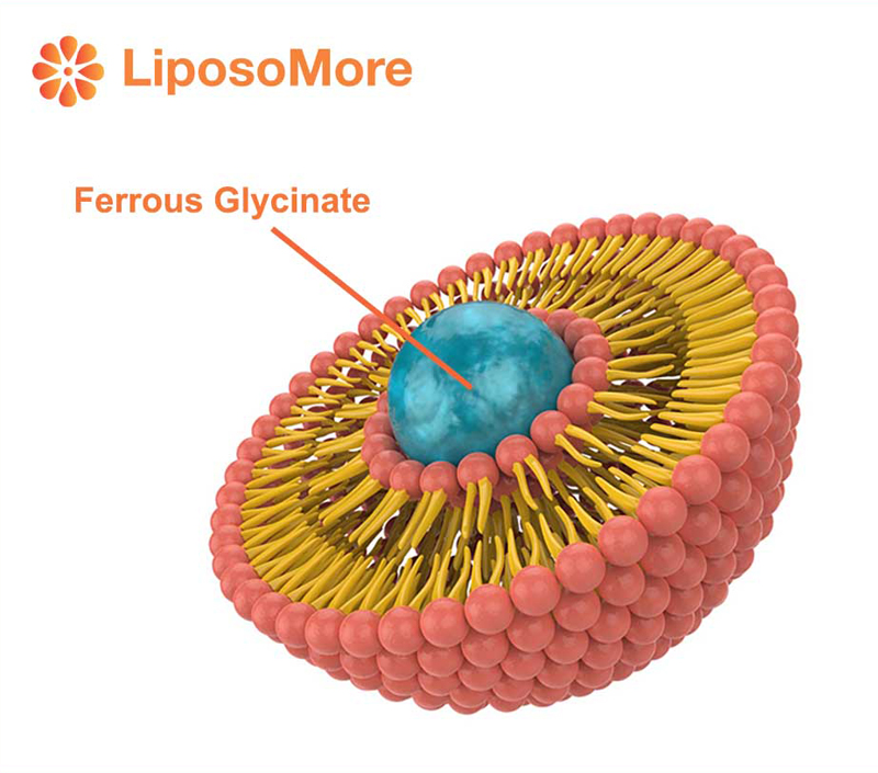 Deutlich verbesserte Bio verfügbar keit für eine effiziente Supplement ierung