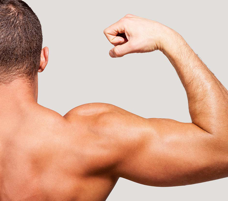 Unterstützt Muskel funktion und körperliche Erholung