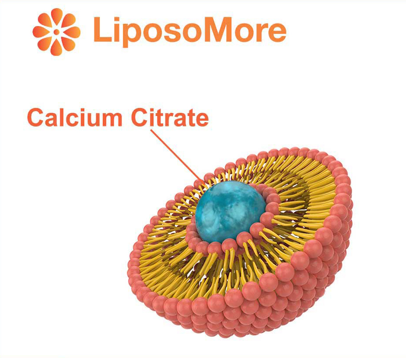 Überlegene Bio verfügbar keit durch liposomale Abgabe