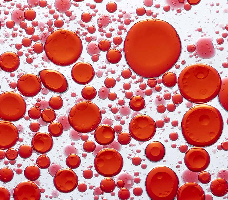 Unterstützt die Bildung roter Blut körperchen und den Sauerstoff transport