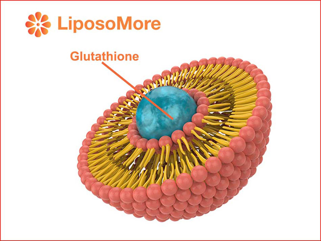 liposomal glutathione gains popularity as a premium antioxidant ingredient with superior bioavailability 2