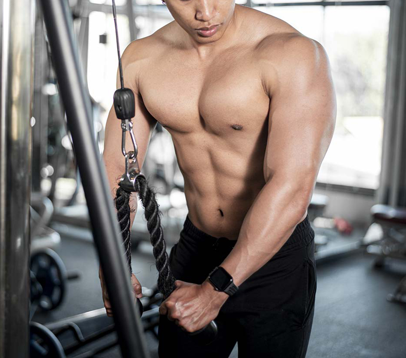 Unterstützt Muskel wachstum und Erholung