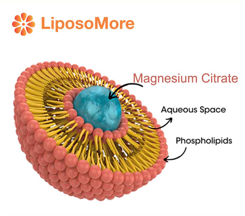 Minimiert gastro intestinale Nebenwirkungen