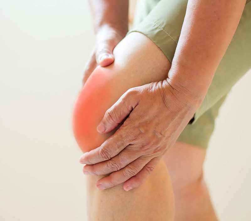 Unterstützt Knochen dichte und Herz-Kreislauf-Gesundheit