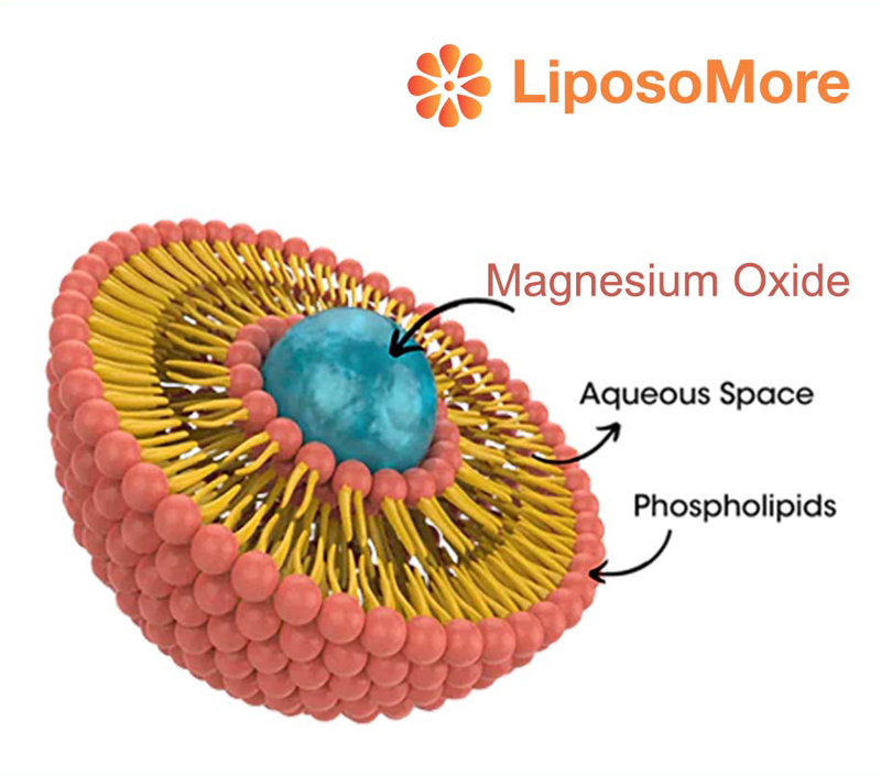 Unterstützt Energie stoffwechsel und Muskel funktion