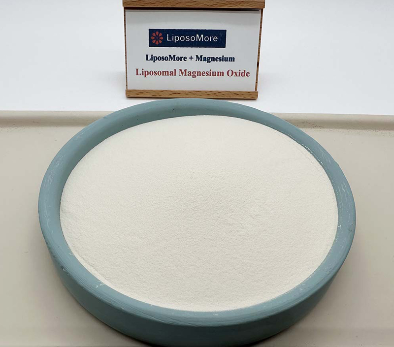 Überlegene Magnesium lieferung durch liposomale Technologie