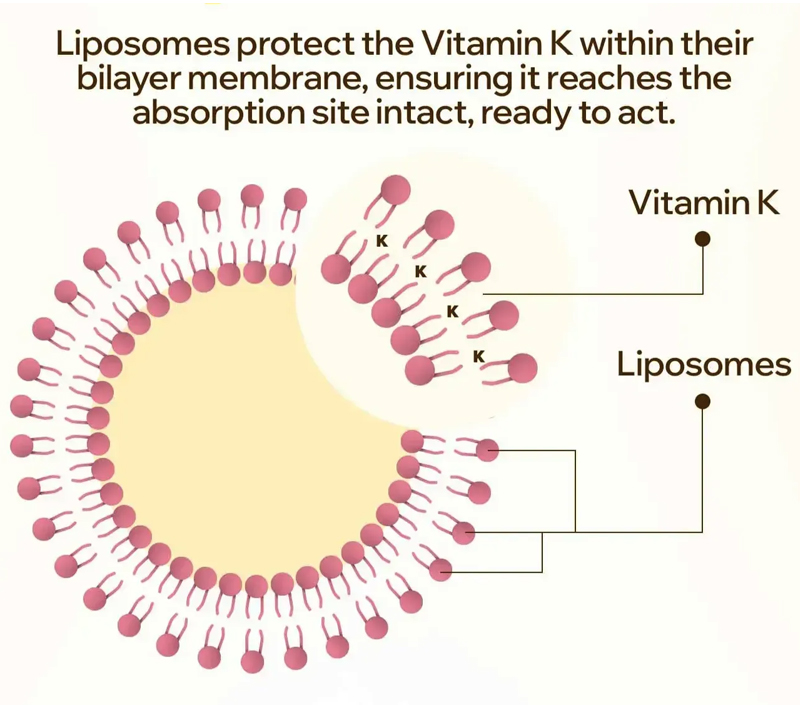 Sanfte und ziel gerichtete Lieferung