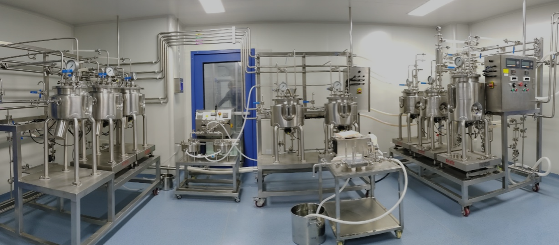 Custom Liposomal vor gebraxtes Pulver Verfahren