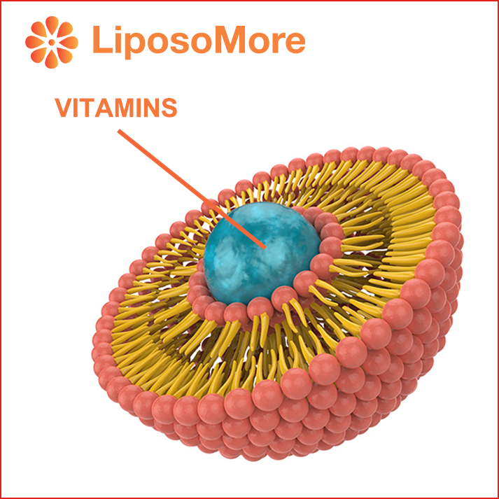Was sind liposomale Vitamine
