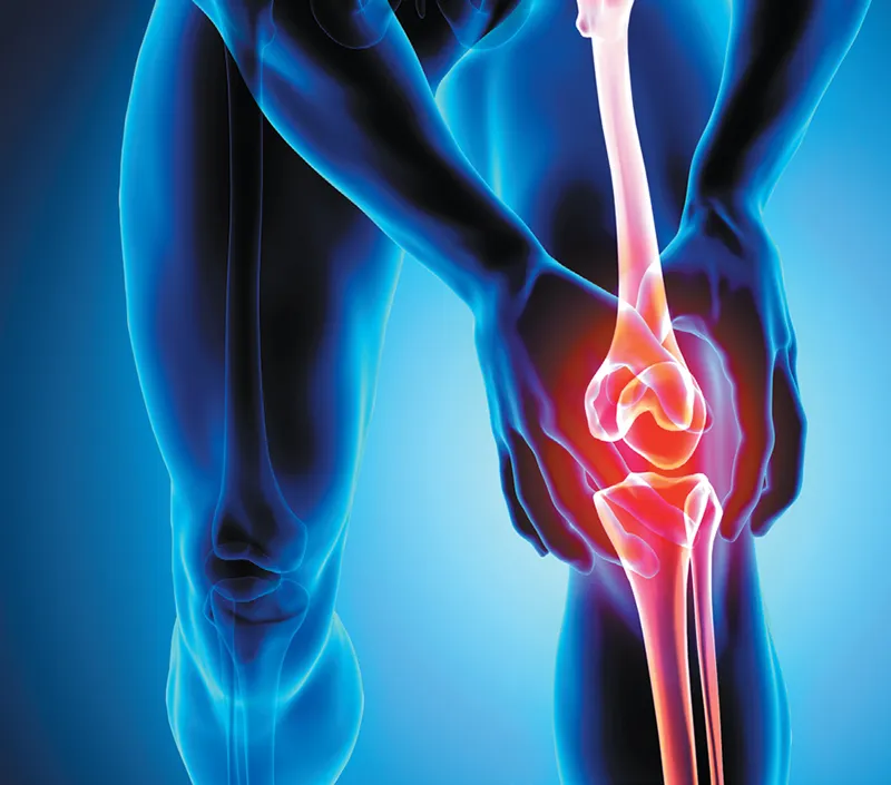 Effektive Unterstützung des gemeinsamen Komforts und der Mobilität