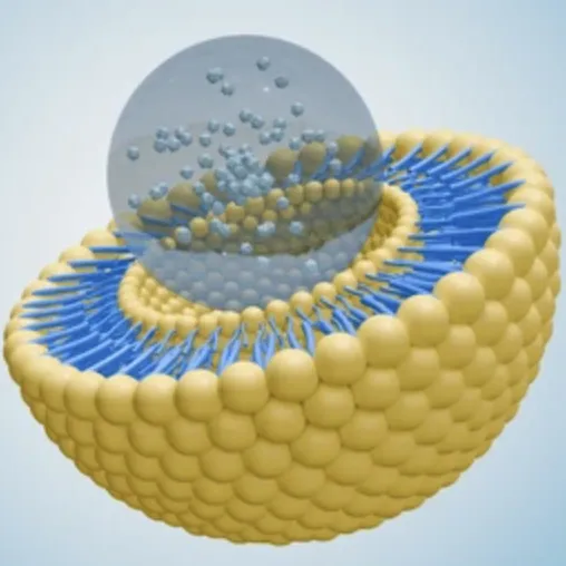 Mikro ver kapselung vs. Liposomale Technologie: Was ist besser für Nahrungs ergänzungs mittel?